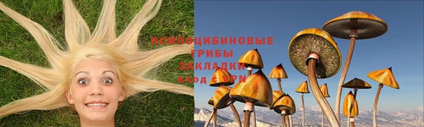 соль курить ск Вяземский