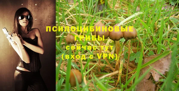 ALPHA-PVP Вязники