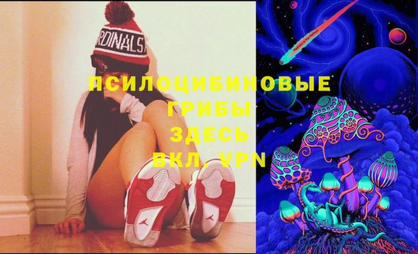 соль курить ск Вяземский