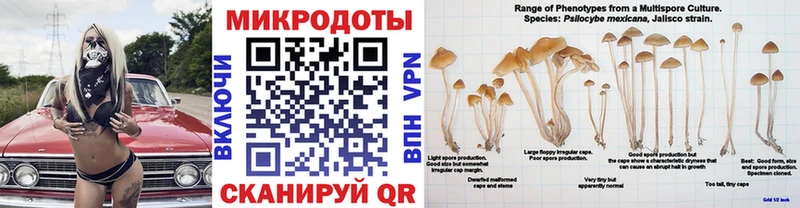 Галлюциногенные грибы Magic Shrooms  Купить  Котельнич 